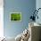 Green Design-PhotoINC-Framed Premier Image Canvas displayed on a wall