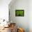 Green Design-PhotoINC-Framed Premier Image Canvas displayed on a wall
