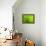 Green Design-PhotoINC-Framed Premier Image Canvas displayed on a wall