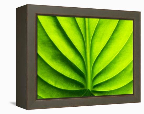 Green Design-PhotoINC-Framed Premier Image Canvas