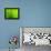 Green Design-PhotoINC-Framed Premier Image Canvas displayed on a wall