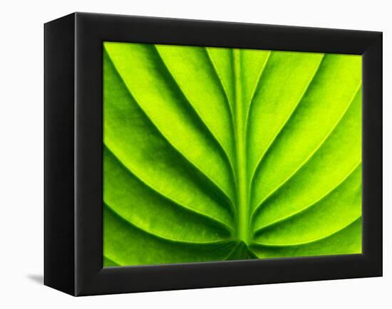 Green Design-PhotoINC-Framed Premier Image Canvas