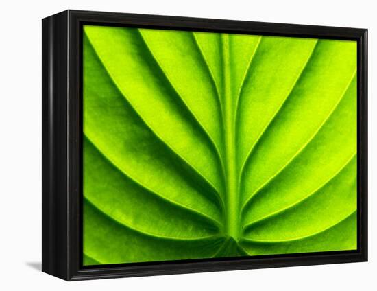 Green Design-PhotoINC-Framed Premier Image Canvas