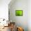 Green Design-PhotoINC-Framed Premier Image Canvas displayed on a wall