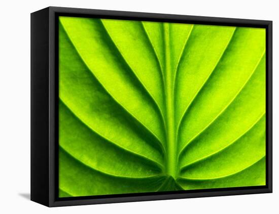 Green Design-PhotoINC-Framed Premier Image Canvas