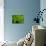 Green Design-PhotoINC-Photographic Print displayed on a wall