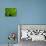 Green Design-PhotoINC-Photographic Print displayed on a wall