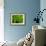 Green Design-PhotoINC-Framed Photographic Print displayed on a wall