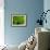 Green Design-PhotoINC-Framed Photographic Print displayed on a wall