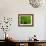 Green Design-PhotoINC-Framed Photographic Print displayed on a wall