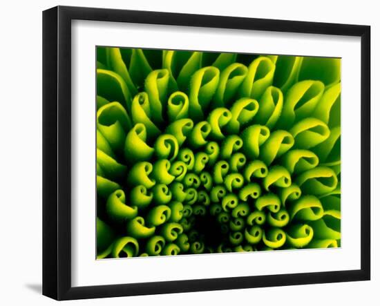 Green Design-PhotoINC-Framed Photographic Print