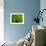 Green Design-PhotoINC-Framed Photographic Print displayed on a wall