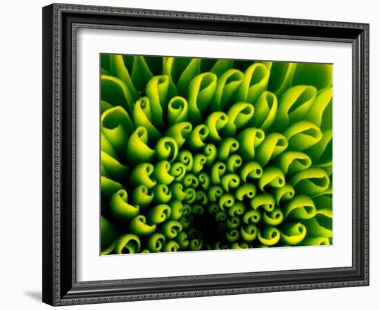 Green Design-PhotoINC-Framed Photographic Print