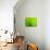 Green Design-PhotoINC-Photographic Print displayed on a wall