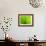 Green Design-PhotoINC-Framed Photographic Print displayed on a wall