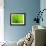 Green Design-PhotoINC-Framed Photographic Print displayed on a wall