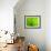 Green Design-PhotoINC-Framed Photographic Print displayed on a wall