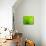 Green Design-PhotoINC-Mounted Photographic Print displayed on a wall