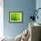 Green Design-PhotoINC-Framed Photographic Print displayed on a wall