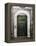 Green door in Penne-Andrea Costantini-Framed Premier Image Canvas