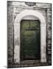 Green door in Penne-Andrea Costantini-Mounted Photographic Print