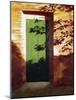 Green Door-Helen J. Vaughn-Mounted Giclee Print