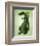 Green Dragon-John Golden-Framed Giclee Print