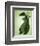 Green Dragon-John Golden-Framed Giclee Print