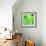 Green Dreams-Megan Aroon Duncanson-Framed Art Print displayed on a wall