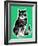 Green-Eyed Cat - Jack & Jill-Frank Dobias-Framed Giclee Print