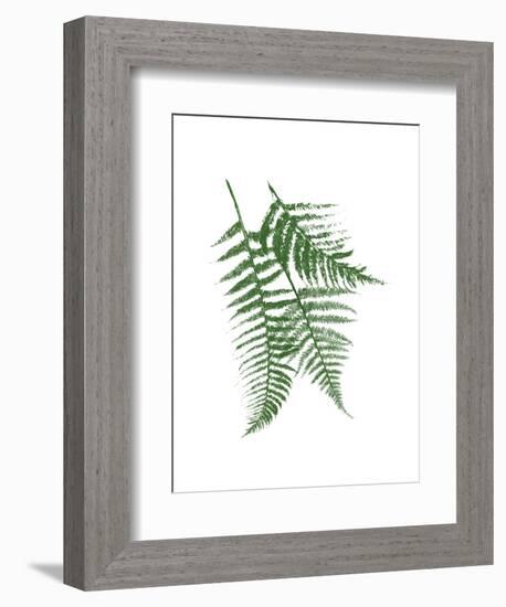 Green Ferns Mate-Jace Grey-Framed Art Print