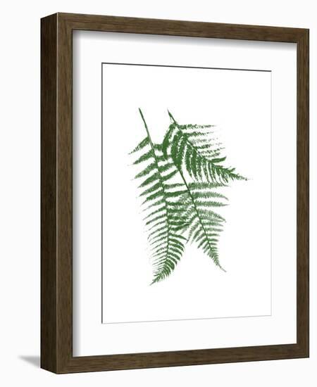 Green Ferns Mate-Jace Grey-Framed Art Print