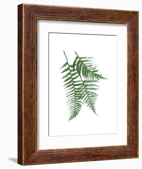 Green Ferns Mate-Jace Grey-Framed Art Print