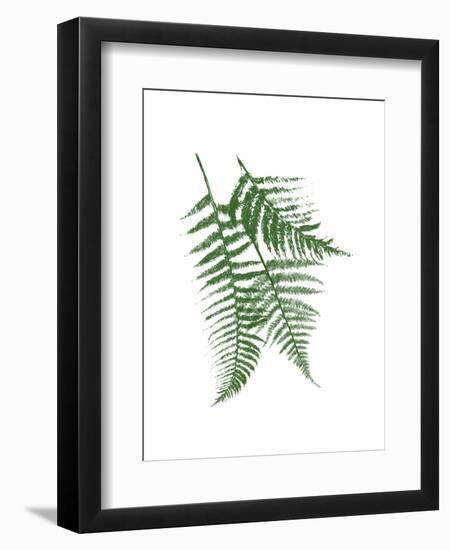 Green Ferns Mate-Jace Grey-Framed Art Print