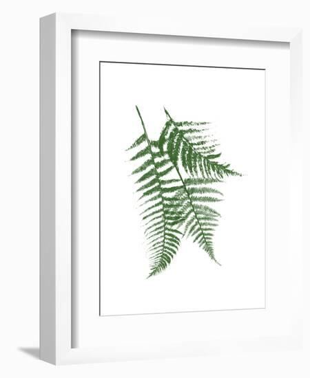 Green Ferns Mate-Jace Grey-Framed Art Print