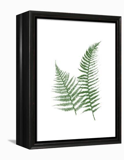 Green Ferns-Jace Grey-Framed Stretched Canvas