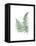 Green Ferns-Jace Grey-Framed Stretched Canvas