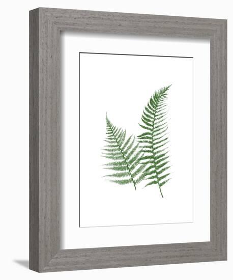 Green Ferns-Jace Grey-Framed Art Print