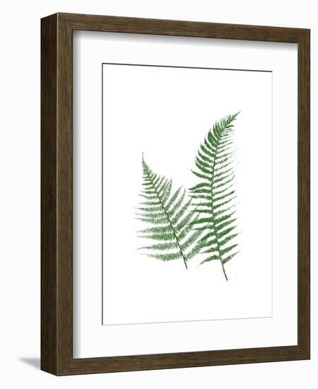 Green Ferns-Jace Grey-Framed Art Print