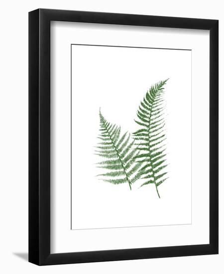 Green Ferns-Jace Grey-Framed Art Print