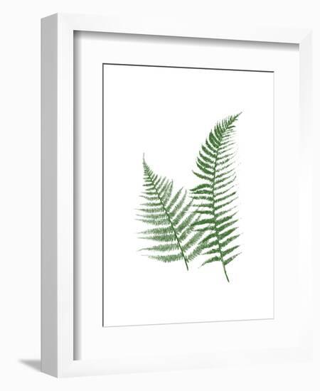 Green Ferns-Jace Grey-Framed Art Print