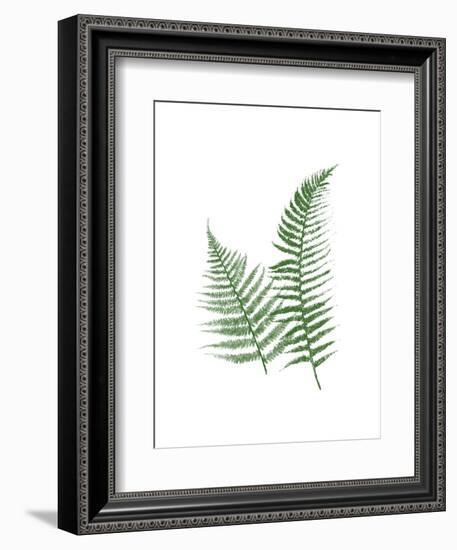 Green Ferns-Jace Grey-Framed Art Print