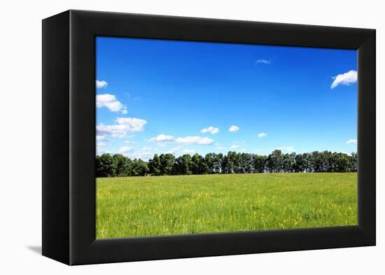 Green Field and Trees at Sunny Day-Liang Zhang-Framed Premier Image Canvas