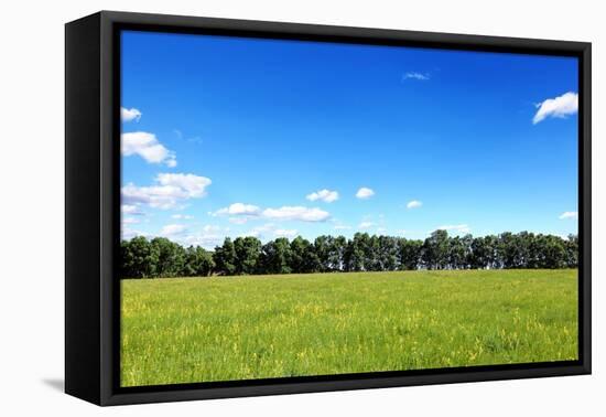 Green Field and Trees at Sunny Day-Liang Zhang-Framed Premier Image Canvas