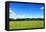 Green Field and Trees at Sunny Day-Liang Zhang-Framed Premier Image Canvas