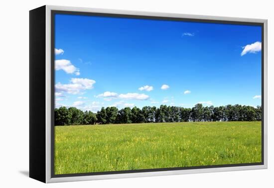 Green Field and Trees at Sunny Day-Liang Zhang-Framed Premier Image Canvas
