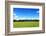 Green Field and Trees at Sunny Day-Liang Zhang-Framed Photographic Print