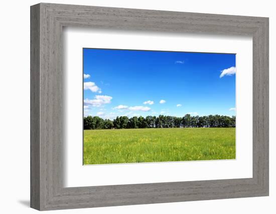 Green Field and Trees at Sunny Day-Liang Zhang-Framed Photographic Print