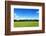 Green Field and Trees at Sunny Day-Liang Zhang-Framed Photographic Print