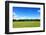 Green Field and Trees at Sunny Day-Liang Zhang-Framed Photographic Print